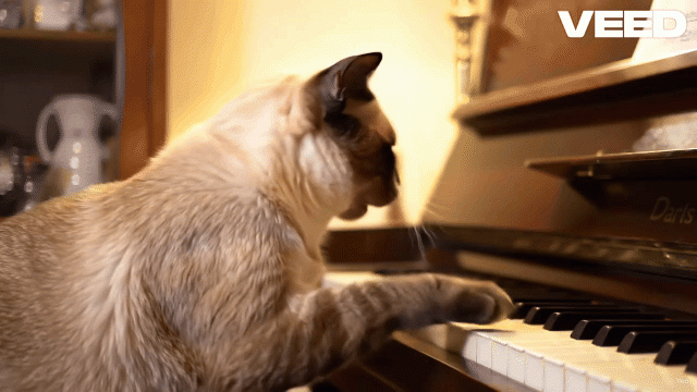 AI Mới Của Google Khiến Cả Thế Giới Rùng Mình...